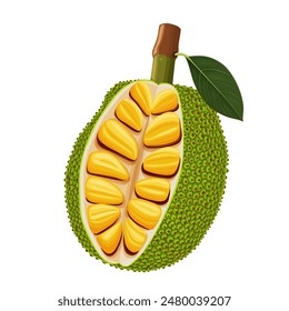 Frutas tropicales de verano para un estilo de vida saludable. Jaca. Icono plano de la historieta de la Ilustración vectorial aislado en blanco.