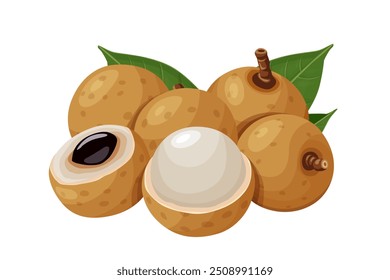 Frutas tropicais de verão para um estilo de vida saudável. Fruta de Longan. Ilustração vetorial ícone plano de desenho animado isolado no branco.