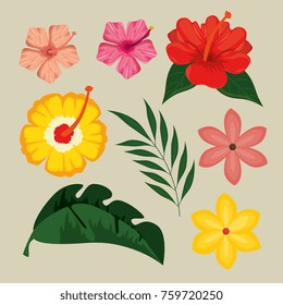 summer tropical graphic elements