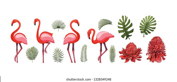 Summer tropical graphic elements with flamingo bird. Jungle floral illustrations, palm and monstera leaves and Etlingera Elatior flower, halftone flat design. Isolated stock vectors.