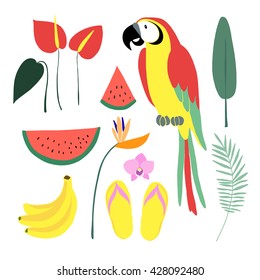 Summer tropical graphic elements. Parrot bird. Jungle flowers. Jungle animal. Palm leaves, orchid, strelitzia, anthurium. Watermelon, banana fruit. Isolated vector illustrations. Flat design.