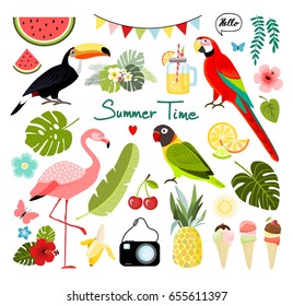 Elementos gráficos tropicales de verano. Pajarito de loro, tocan y flamingo. Ilustraciones florales de la jungla, hojas de palma, hibiscos, flores, piña, frutas tropicales. Vector. 