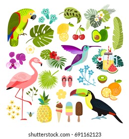Summer tropical graphic elements. Parrot, toucan and flamingo bird. Jungle floral illustrations, palm leaves, hibiscus, flowers, tropical fruits and plants. Isolated vector illustration.