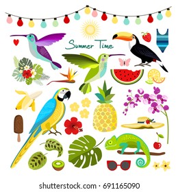 Summer tropical graphic elements. Parrot, toucan, hummingbird and chameleon. Jungle floral illustrations, palm leaves, hibiscus, flowers, tropical fruits. Isolated vector illustration.