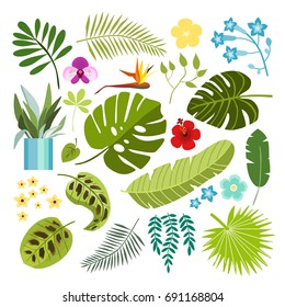 Summer tropical graphic elements with tropical plant. Jungle floral illustrations, palm and monstera leaves hibiscus and orchid flower, flat design. Isolated stock vectors.