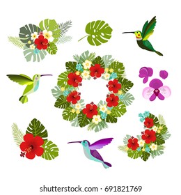 Summer tropical graphic elements with tropical plant and hummingbirds. Jungle floral illustrations, palm and monstera leaves, hibiscus, orchid flowers and birds, flat design. Isolated stock vectors.