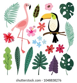 Summer tropical graphic elements. Toucan and flamingo birds. Jungle floral illustrations, palm, monstera leaves, hibiscus flowers. Isolated illustrations, kids flat design, vectors. Exotic nature.