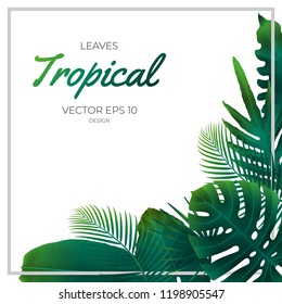 Summer tropical green palm leaves and jungle plants. Cover design template background for wedding card, advertise spa, web site.