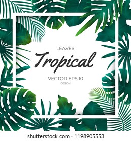 Summer tropical green palm leaves and jungle plants. Cover design template background for wedding card, advertise spa, web site.