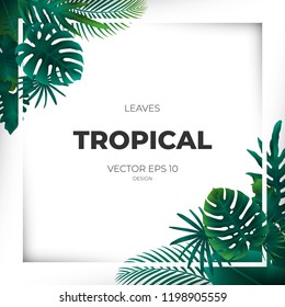 Summer tropical green palm leaves and jungle plants. Cover design template background for wedding card, advertise spa, web site.