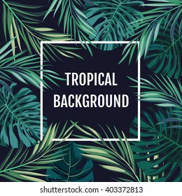 Summer tropical hawaiian background with palm tree leavs and exotic plants