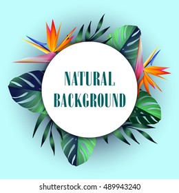 Summer tropical hawaiian background with palm tree leaves.