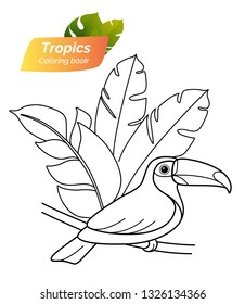 Summer tropical illustration with cartoon toucan and palm leaves. Vector illustration. Coloring book for kids.