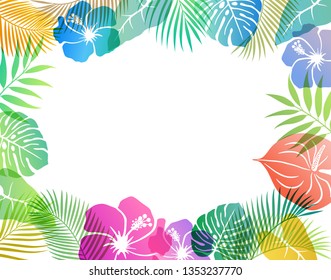 Summer tropical image Background material