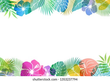 Summer tropical image Background material