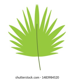 Summer and tropical leaf design