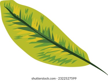 summer tropical leaf, summer elements vector, southeast asia nature