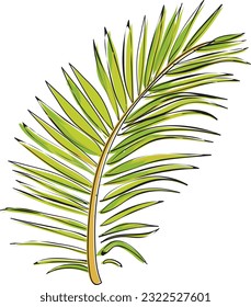 summer tropical leaf, summer elements vector, southeast asia nature