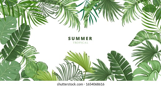 summer tropical leaf frame, Tropical palm leaves background wallpaper, tropical leaves isolated on white background. Illustration for design wedding invitations, greeting cards, postcards.