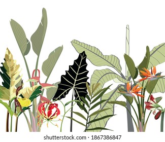 Summer tropical leaf frame, Tropical palm leaves background wallpaper, tropical flowers isolated on white background. Illustration for design wedding invitations, greeting cards, postcards.
