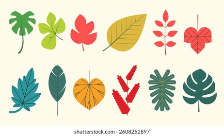 summer tropical  leaves, flat vector, foliage icon set. Includes tropical, autumn, and botanical elements in various shapes and colors. Ideal for seasonal design, nature themes, or eco projects.