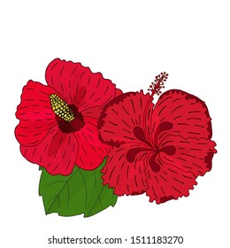 Summer tropical leaves and flower vector. Vector illustration with exotic flowers and leaves. Exotic colorful tropical bouquet.

