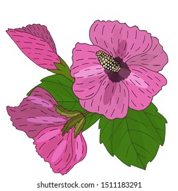 Summer tropical leaves and flower vector. Vector illustration with exotic flowers and leaves. Exotic colorful tropical bouquet.

