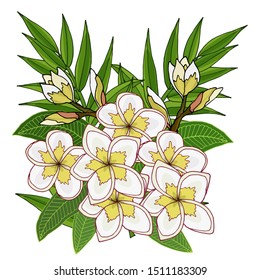 Summer tropical leaves and flower vector. Vector illustration with exotic flowers and leaves. Exotic colorful tropical bouquet.

