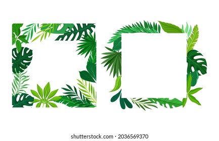 Summer tropical leaves frame set. Frames of square shape with palm leaves, invitation, greeting card, postcard design vector illustration