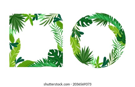 Summer tropical leaves frame set. Frames of round and square shapes with palm leaves, invitation, greeting card, postcard design vector illustration