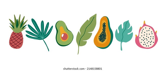 Summer tropical leaves and fruits. Avocado, dragon fruit, papaya, monstera, banana leaf, palm leaf. Vector cartoon collection illustration on a white background.