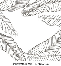 Summer tropical leaves vector design. Floral background illustration. Invitation or card design with jungle leaves.