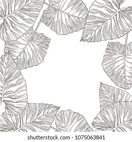 Summer tropical leaves vector design. Floral background illustration. Invitation or card design with jungle leaves.