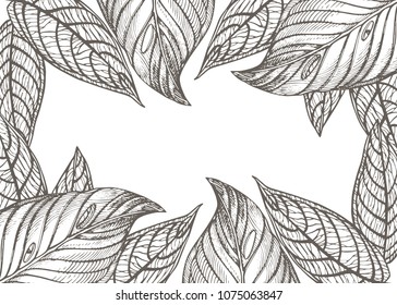 Summer tropical leaves vector design. Floral background illustration. Invitation or card design with jungle leaves.