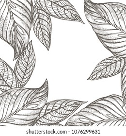 Summer tropical leaves vector design. Floral background illustration. Invitation or card design with jungle leaves.
