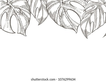 Summer tropical leaves vector design. Floral background illustration. Invitation or card design with jungle leaves.