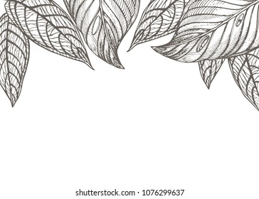 Summer tropical leaves vector design. Floral background illustration. Invitation or card design with jungle leaves.