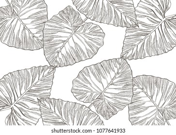 Summer tropical leaves vector design. Floral background illustration. Invitation or card design with jungle leaves.