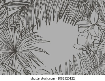 Summer tropical leaves vector design. Floral background illustration. Invitation or card design with jungle leaves.