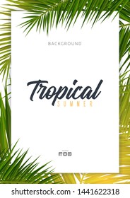 Summer Tropical palm leaves. Exotic palms tree. Floral Background.
