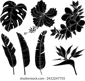 Summer tropical palm leaves and flowers, jungle plants silhouettes. Vector set