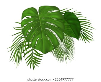 Summer tropical palm leaves. Jungle design elements with greenery tropic exotic for summer card, invitation, banner, poster. Vector illustration