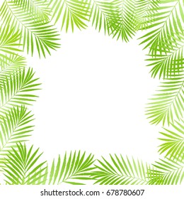 Summer tropical palm tree leaves border, frame background. Vector grunge design for card, poster, wallpaper. Natural tropical palm tree on white.