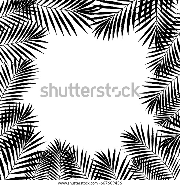 Summer Tropical Palm Tree Leaves Border Stock Vector Royalty Free 667609456