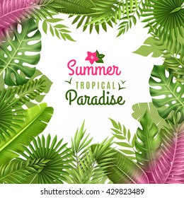 Summer tropical paradise decorative frame or background dezign with opulent rainforest plants foliage composition vector illustration 