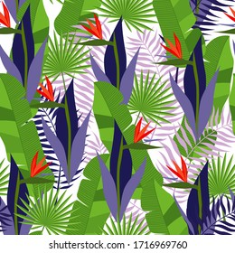 Summer tropical pattern with exotic flowers. Strelitzia with leaves on a white background.