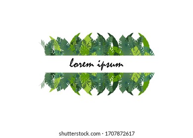 Summer tropical postcard template. Frame with Palm leaves (monstera, areca, fan, banana). Hand drawn vector illustration. Perfect for prints, posters, invitations, textile, packing 