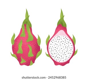 Summer tropical red dragon fruit, pitahaya. Whole fruit and half. Vector flat cartoon illustration.