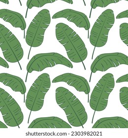 Patrón tropical de verano sin costuras. Palm de plátano exótico deja el fondo.  Ilustración vectorial de plantas verdes