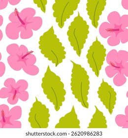 Summer tropical seamless pattern with hibiscus flowers and leaves. Botanical blossom vector flat background